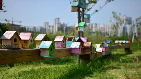 Sample Photo Sample Photo