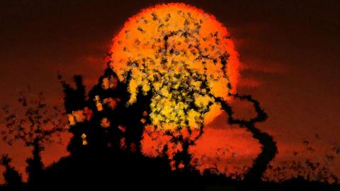 Fairy House Fairy House